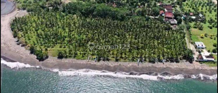 Tanah Loss Pantai Melaya Jembrana Negara Bali Investasi 1