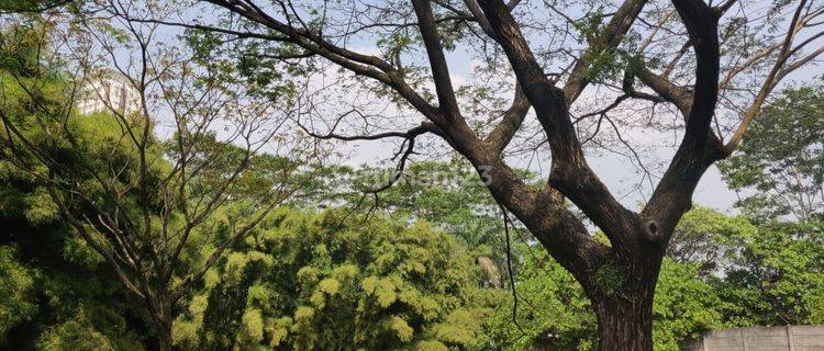 Kavling Sudut Megah Hadap Utara Di Lavender Alam Sutera 1