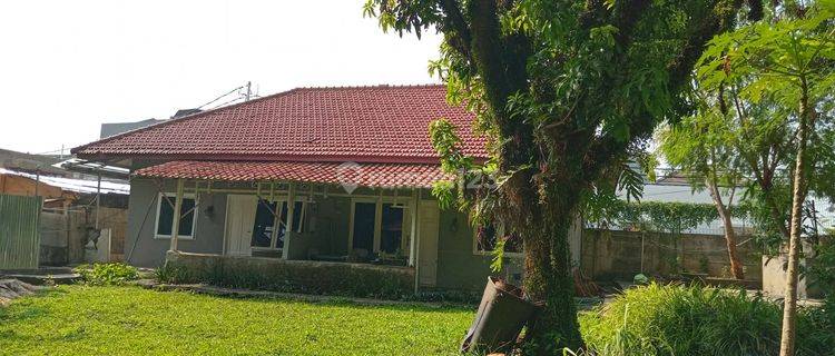 Rumah Sewa Seperti Cottage 3 Menit Pasar Modern Bintaro Sektor 7 1