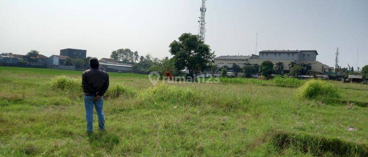 Tanah di Jl.ottista Belakang Grand Yogya Subang, SHM 9.860 m² 1