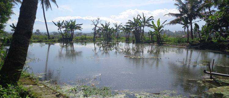 Kolam Ikan di Jl. Tarogong , Garut 4.795 m²  1