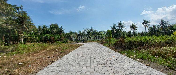 Pas bangun rumah tanah Murah dekat UAD wates kulonprogo, SHM P 1