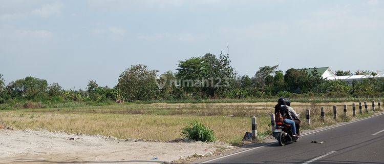 Tanah Jogja Dalam Cluster Sidokarto jual murah ,SHM P unit 1