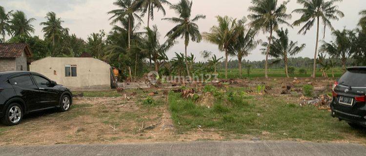 Tanah Kulonprogo Dijual Murah Dekat Uad Wates 1