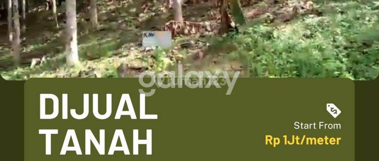 Tanah Daerah Sagaranten Sukabumi Jawa Barat 1