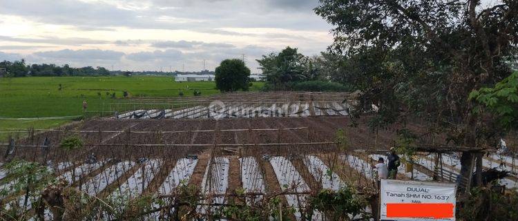 Tanah siap bangun dekat Kampus Teknik Unhas Gowa 1