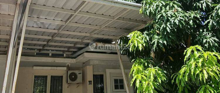 Rumah 2 Lantai di Jl. Metro Tanjung Bunga Dekat Area Perkantoran 1