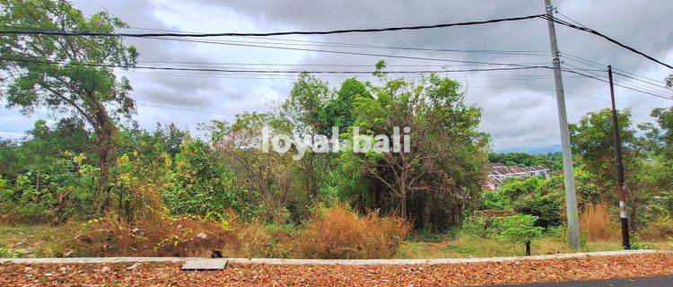 Tanah 15.000m² / Land in of Tegal Linggah, Buleleng, Bali 1