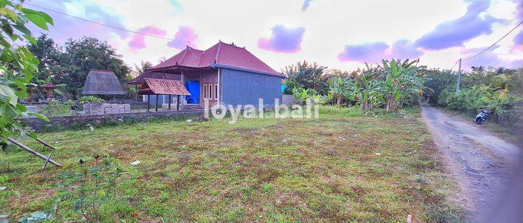 Tanah, Land With Good Area In Jembrana, Bali 1