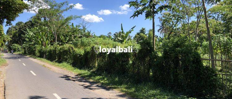 Tanah, Nice Land Near The River In Subamia Tabanan, Bali 1