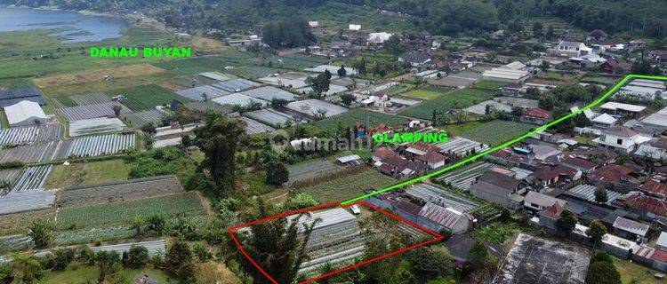 Tanah kontur datar view danau buyan di Bedugul, akses jalan 3 meter 1