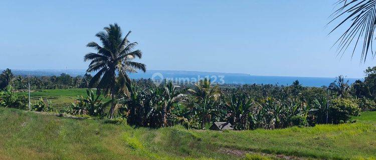 Tanah 3000m² View Laut & Sawah Abadi Di Tabanan Bali 1