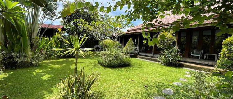 brand new villa queen Leasehold 30Tahun view sawah di ubud Bali 1