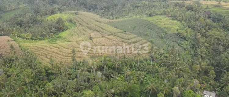 Tanah komersial full view laut dan terasering sawah di medewi surfing 1