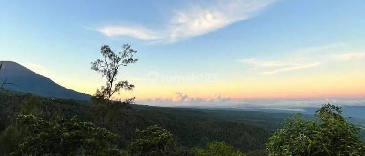 Tanah view gunung dan danau di buleleng, kontur tanah tinggi 1