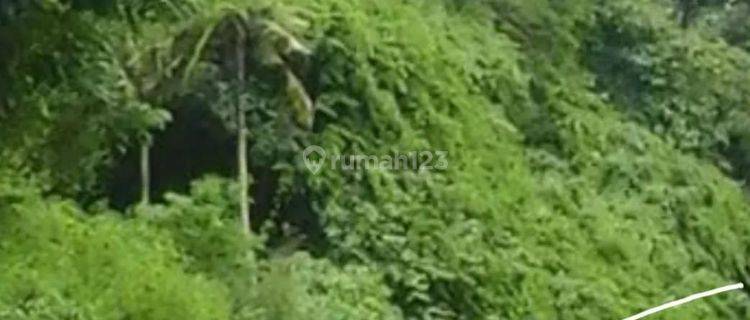 Tanah los tebing dan view jungle di lingkungan villa mewah jalan pantai nyanyi 1