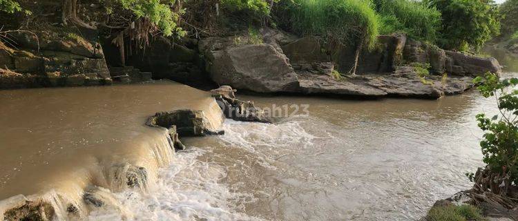 tanah 350 meter dari pantai kelating kontur tanah datar 1