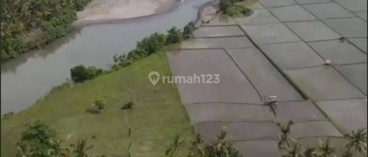 Sea view land los sungai in central medewi, can take 1500m2 1