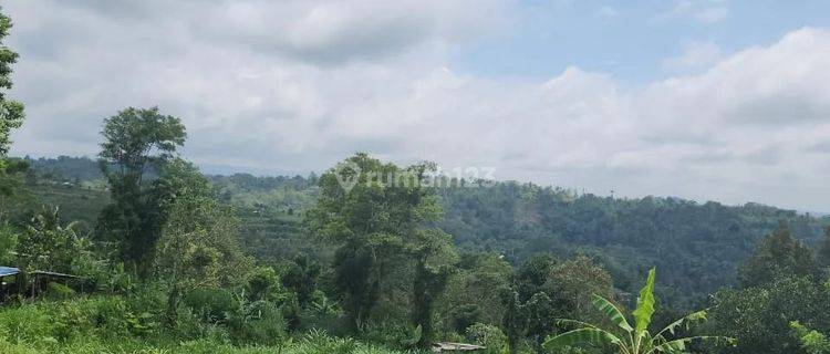 Land with a view of rice fields in Mayungan village, Bedugul 1