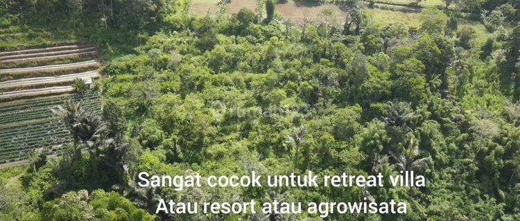 tanah full view jungle, sunset dan gunung di Bedugul 1