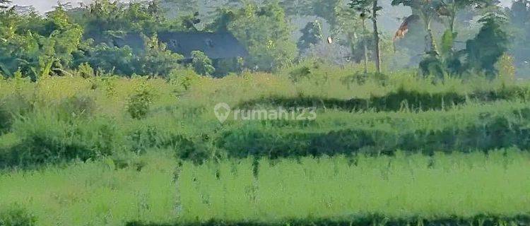 Premium land los sungai view rice fields, mountains, valleys and hills in Karangasem 1