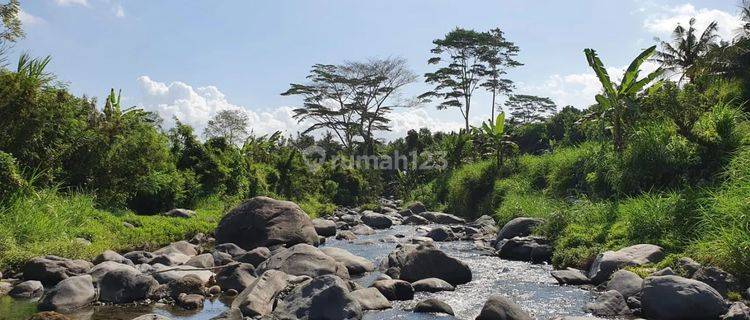 Nego, Tanah los sungai bonus bangunan ex wisata alam, view sawah 1