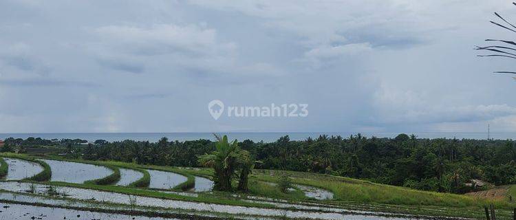 Tanah Strategis 3000m2 Full View Laut Dan Terasering Sawah di Pantai Soka Tabanan 1