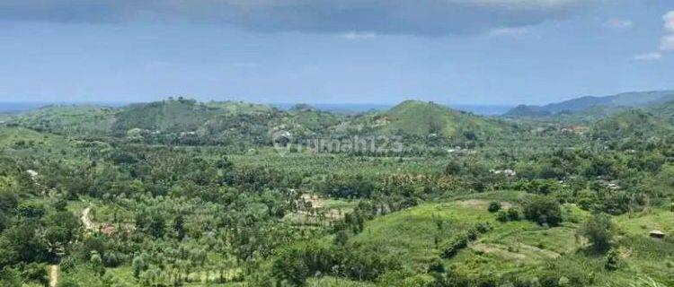 Tanah Semi Bukit Full View Laut Dekat Mandalika 35jt/are 1