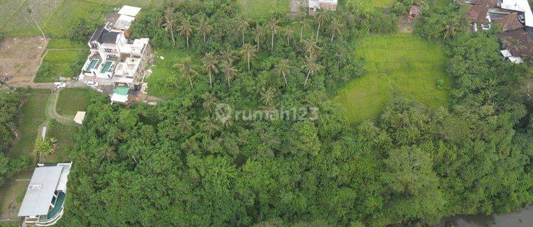 Tanah datar full view hamparan sawah 4km ke sentral Ubud 1