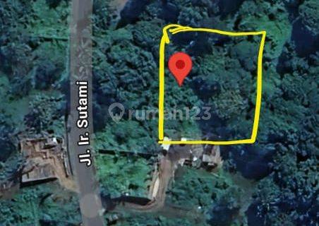 Dijual Tanah View Jungle Di Ir Sutami Ubud, Gianyar Bali 1