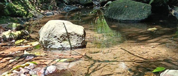 Land with full view of jungle and sunset, there is a water source 1