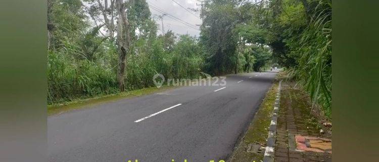 Jual Tanah Di Jalan Raya Pelaga Badung Bali. Full View Jungle  1