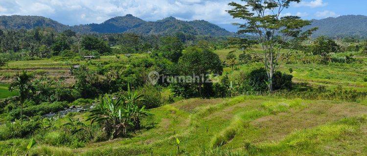 Tanah kontur datar view hamparan sawah  akses jalan 4 meter 1