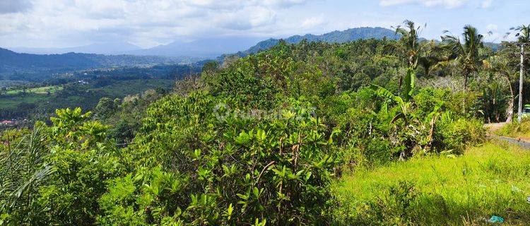 Tanah full view perbukitan di sedimen Karangasem akses jalan 7 meter 1