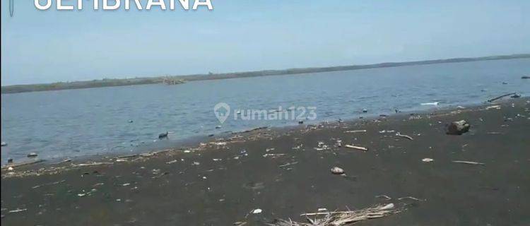 Tanah kontur datar los pantai pekutatan, lebar depan pantai 36 meter 1