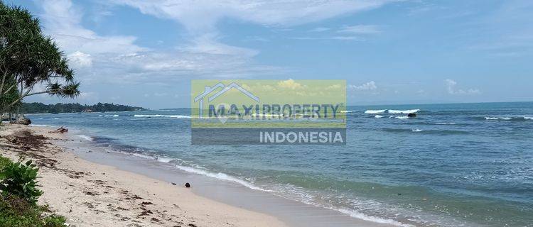 Jual Murah Serius Jual Tanah Carita Pantai Cocok Buat Hotel Resor 1