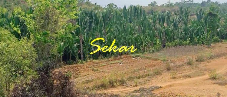 Tanah Labuan Serang Banten Cocok Buat Perumahaan Murah  1