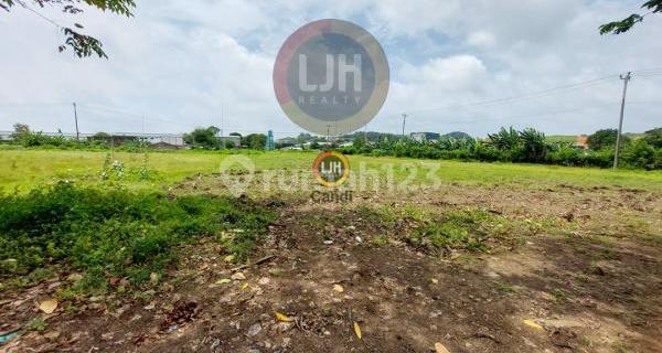 Gudang di Randu Garut Semarang 1