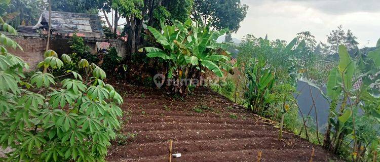 Langka , Murah, Tanah 375 m2 Kawasan Elit Griya Asri Cahaya Cipageran 1