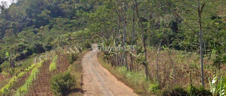 Tanah subur siap tanam di temanggung jawa tengah 1