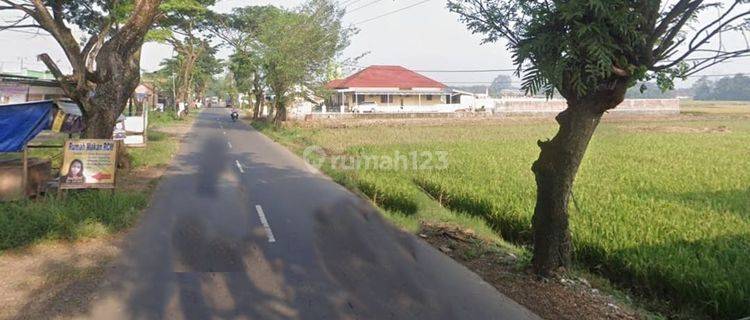 Tanah zona industri dekat pintu tol pekalongan 1