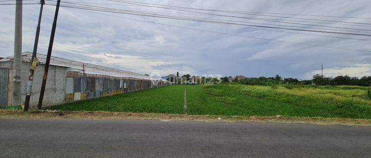 Tanah bagus untuk perumahan di colomadu solo 1
