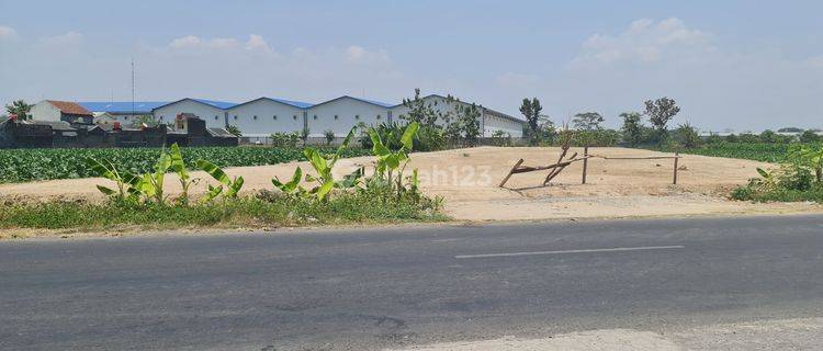 Tanah sewa luas 4000m2 siap bangun dekat solo baru 1