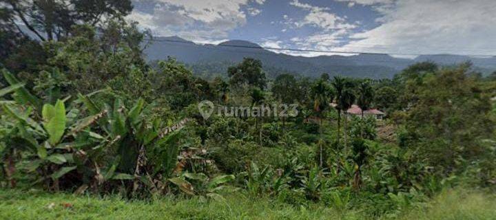 Dijual Tanah Dipinggir Jalan Tanjuang Baringin Sumatra Barat 1