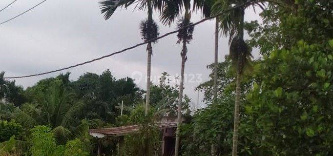 Dijual Kavling Di Tarai Bangun Tambang Kampar Riau 1