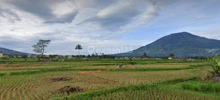 Dijual Tanah Di Pakan Labuah Tigobaleh Bukittinggi 1