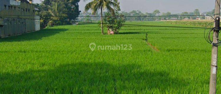 Tanah strategis untuk Usaha, Industri, Gudang dan perumahan 1