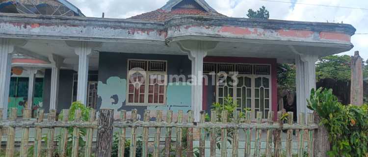 Dijual Murah Rumah Tua Jl. Purwodadi, Curup Sel, Rejang Lebong, Bengkulu 1