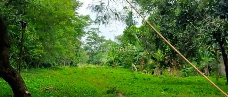 Tanah di Jl Pantura Desa Cangkudu Kec. Balaraja , Tangerang 1