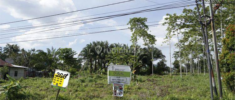 Jual Tanah Pinggir Jalan Besar Lokasi Ramai Kawasan Penduduk di Pekanbaru 1